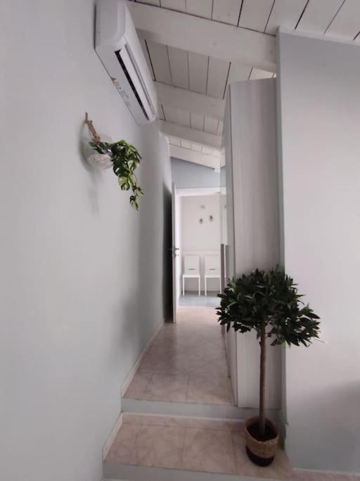 Free Parking Tiny House Wifi Netflix 15 Minuti Dal Duomo Leilighet Milano Eksteriør bilde